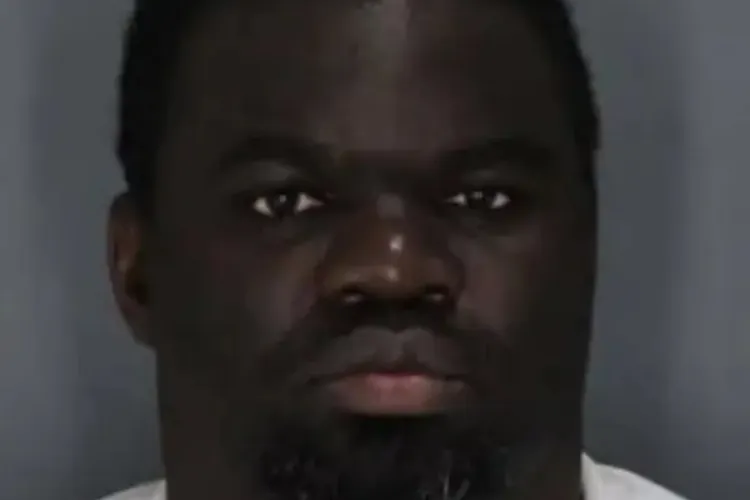 Kenyan Auditor Pleads Guilty to $405,000 Embezzlement in New York