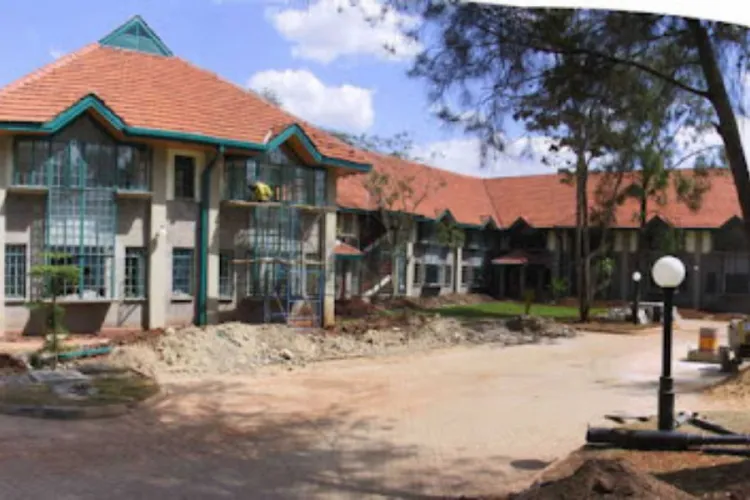 German Embassy Nairobi Announces New Round of DAAD Scholarships for Kenyans
