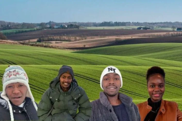 Young Kenyans Earning Up to Sh680,000 on Danish Farms