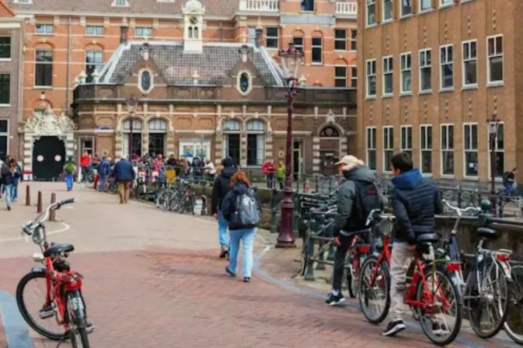 Netherlands Unveils Fully Funded Scholarships for Kenyans with KSh 184k Monthly Stipend