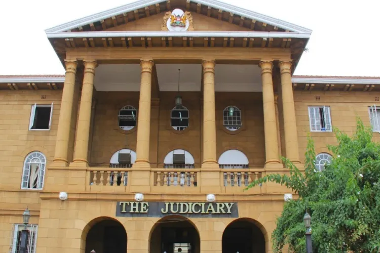 Expired Passports Could Lock Kenyans Abroad Out of 2027 Polls as Lawyer Files Appeal