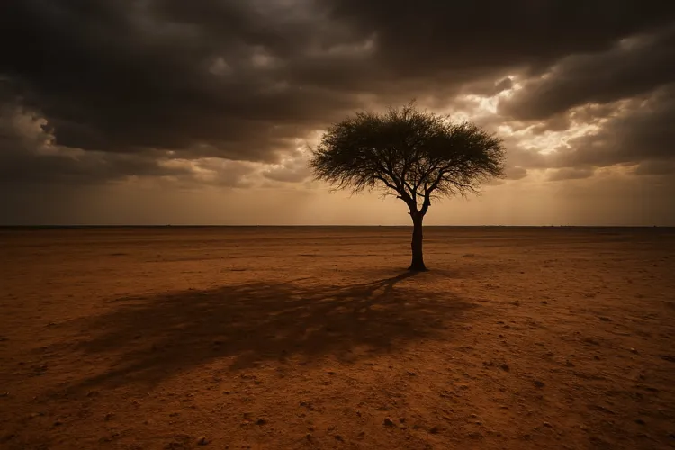 Sudan: Women Detained in Nyala, South Darfur - a Call to Protect Detainees' Rights