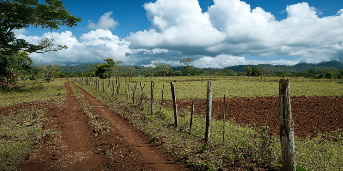 When a Title Deed Is No Longer Enough to Protect Your Land in Kenya