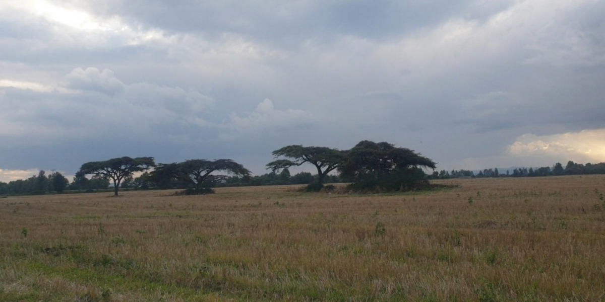 Why More Kenyan Women Are Buying Land