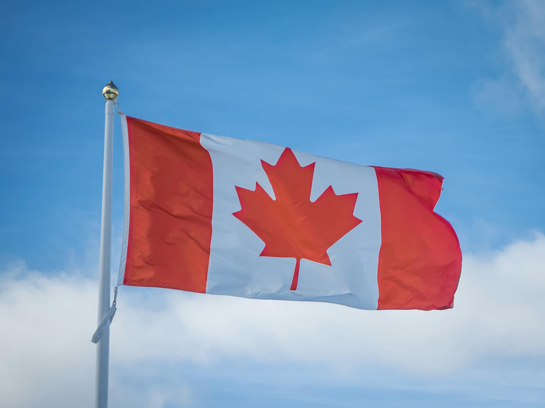 Kenyan Professionals in Canada Respond to Recent Immigration Trends and Challenges