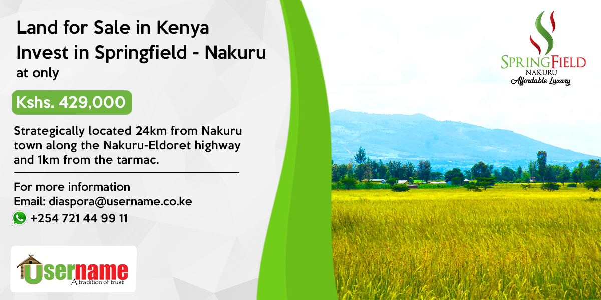 Springfield-Nakuru by Username Investment 