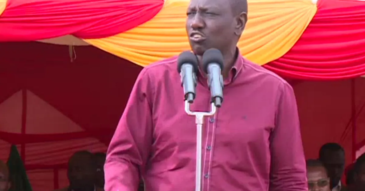 Unga Politics Won't Help You, DP William Ruto Tells NASA