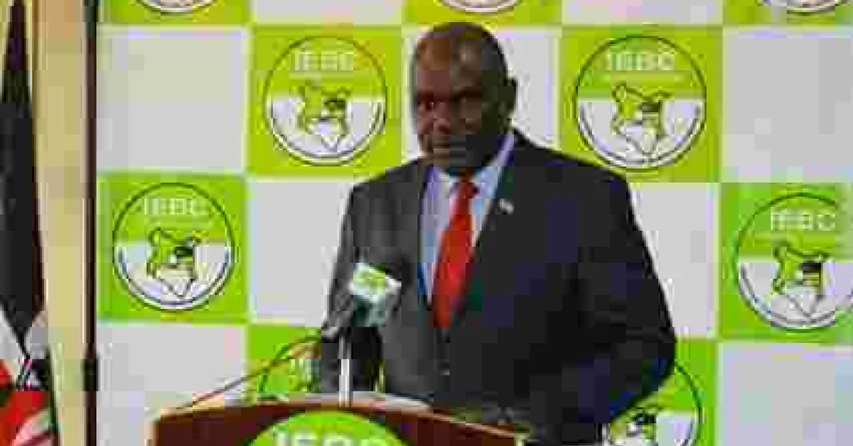 IEBC Bans Taking of Photos, 'Selfies' by Voters in Polling Stations