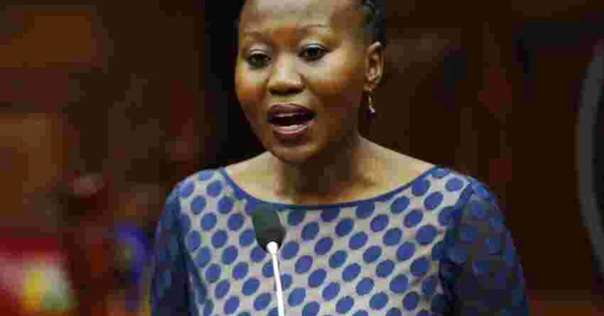 IEBC Commissioner Roselyn Akombe Denies Fleeing Kenya to US over Election Credibility Questions