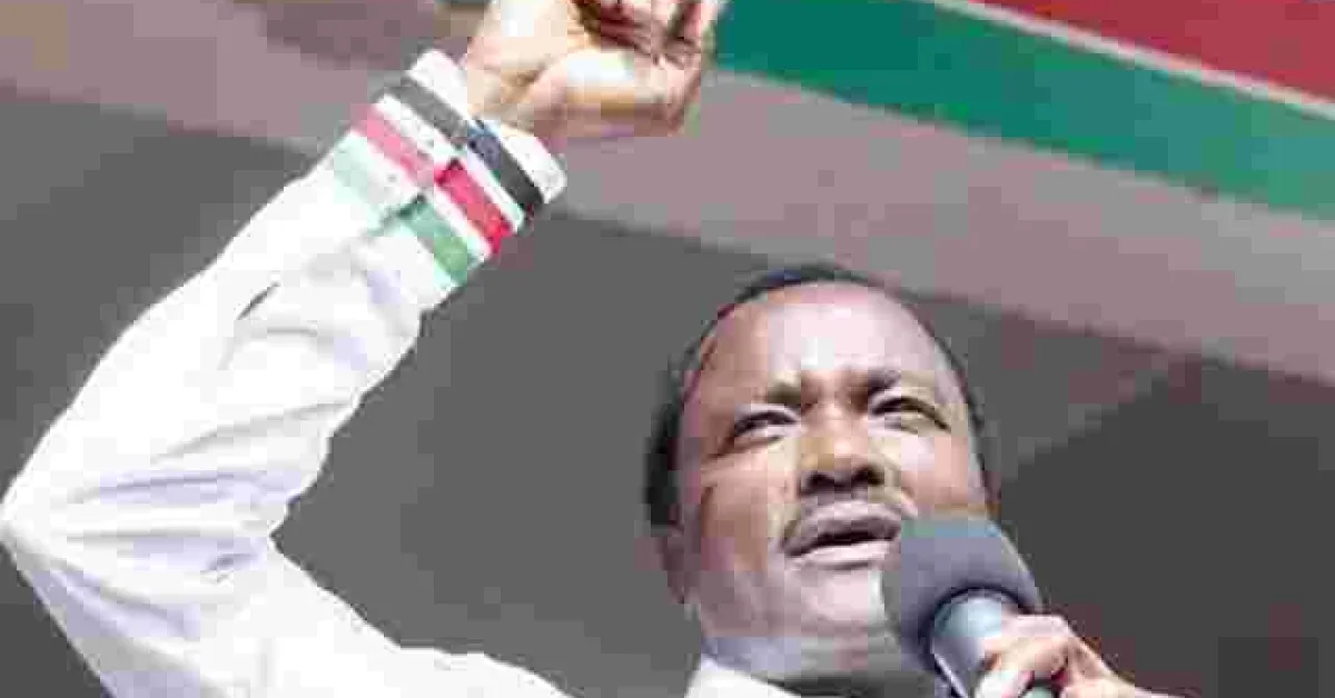 Kalonzo: Jubilee Has Shown Us How Not to Run a Country