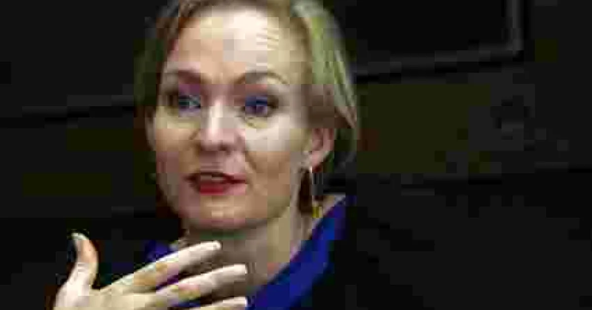 European Union Observer Warns against Heavy Presence of Police during Kenya Elections