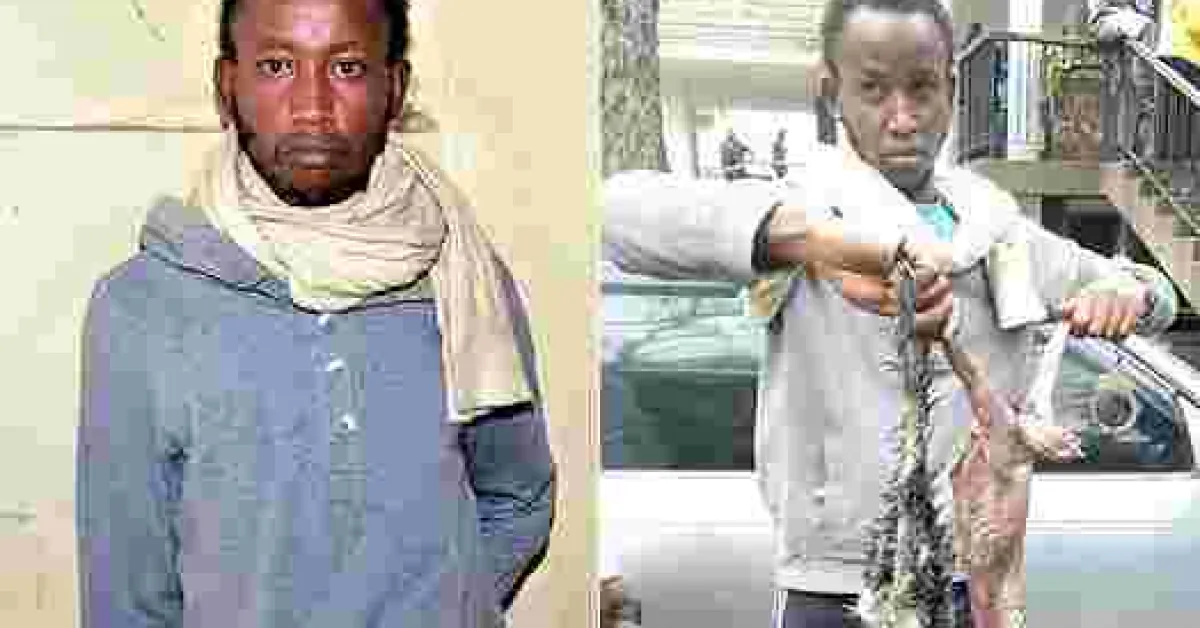 Nairobi Man Arrested for Selling Samosas Made from Cat Meat