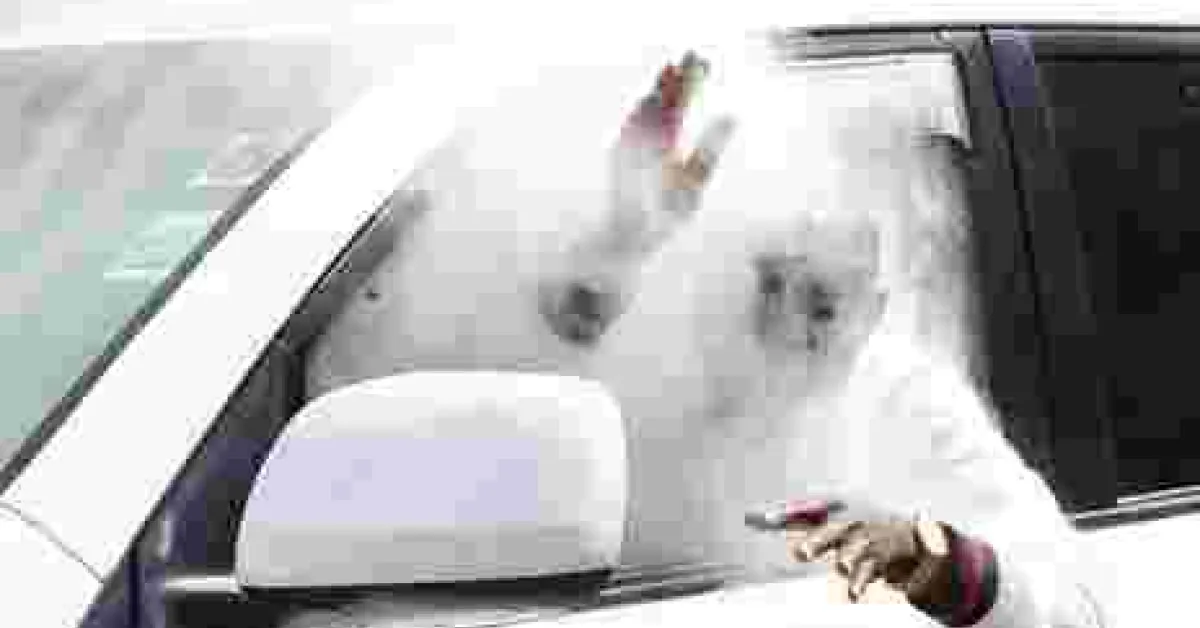 NASA MP Collapses after Inhaling Teargas during anti-IEBC Demo in Nairobi