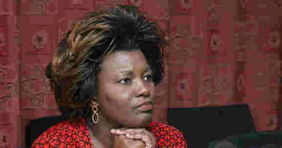 Shebesh Hits Out at former IEBC Commissioner Roselyn Akombe over Her Exit