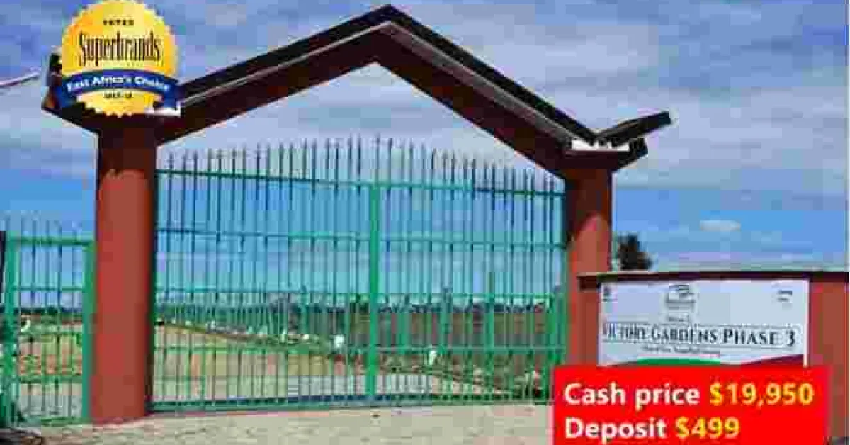 Optiven Real Estate on a Month-Long Tour of the USA: Meet with them for Investment Opportunities Back Home