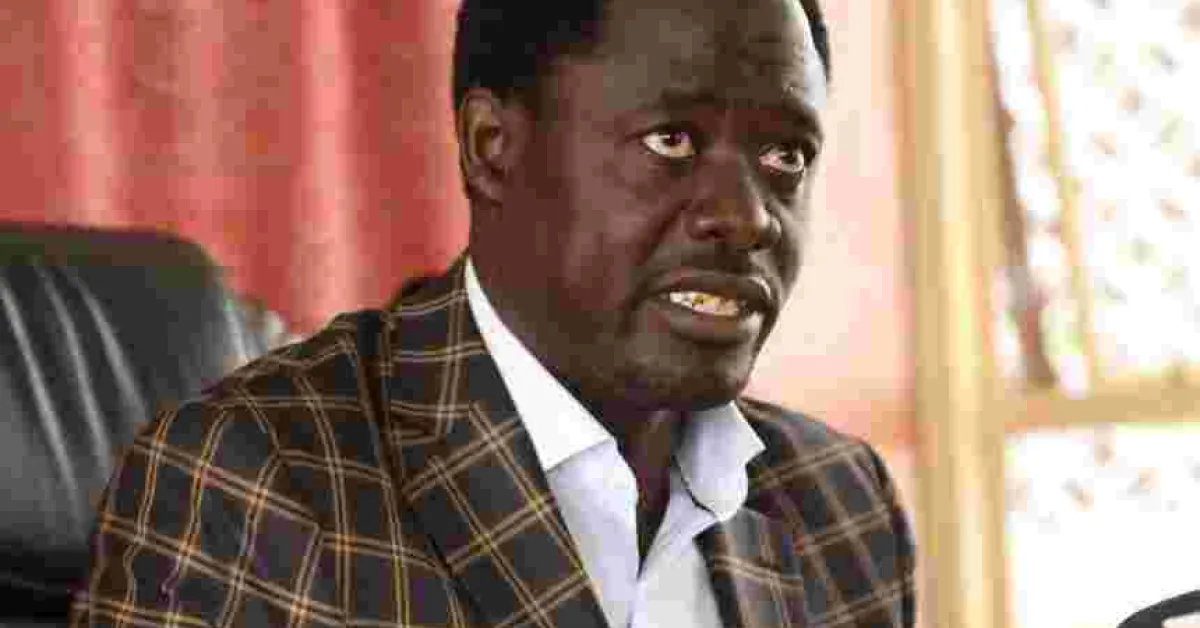 IEBC Approves ODM MP's Push to Split Kenya into Two