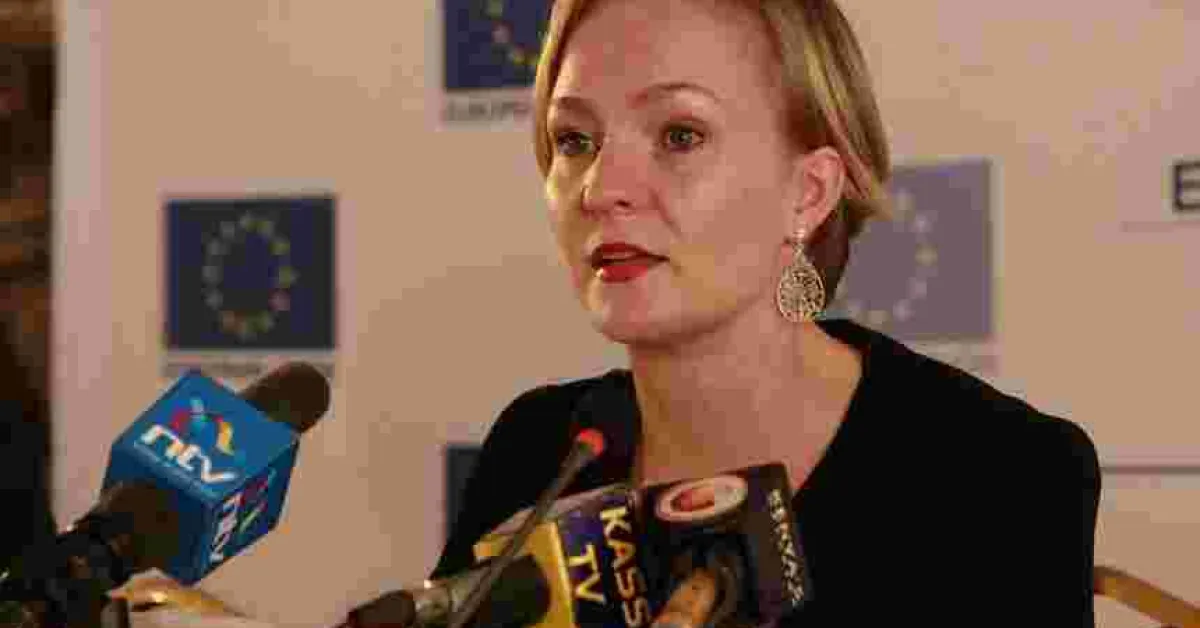 European Union Observer Mission Gives October 26th Repeat Election a Clean Bill of Health