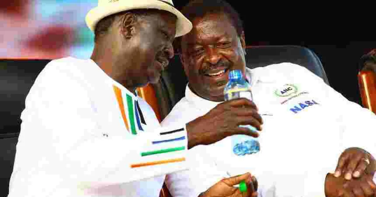 NASA Roots for Bomas Draft of the Constitution