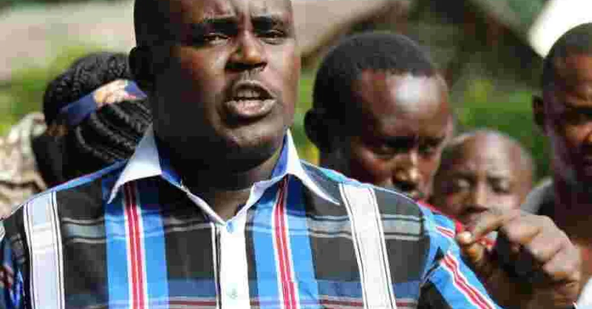 NASA Senator On How Raila Will be Sworn-in as President