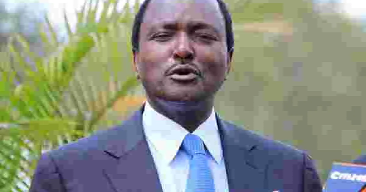 Kalonzo Returns to the Country from Germany after Two-Month Absence