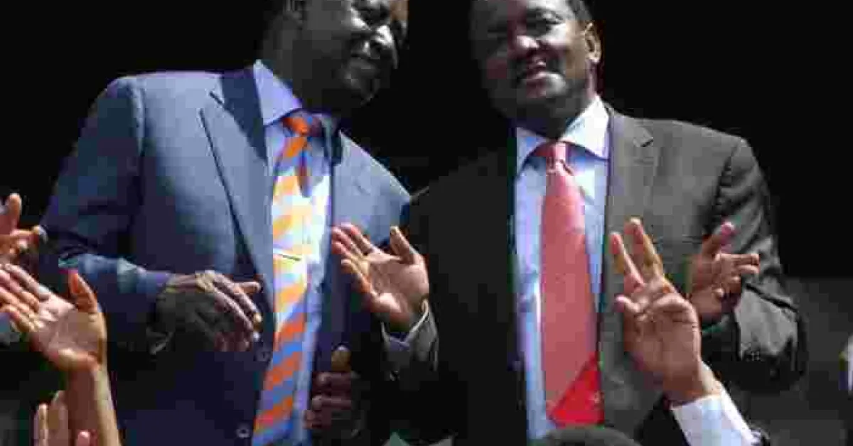 NASA Says Kalonzo Could  Be 'Sworn in' as Deputy President in Germany