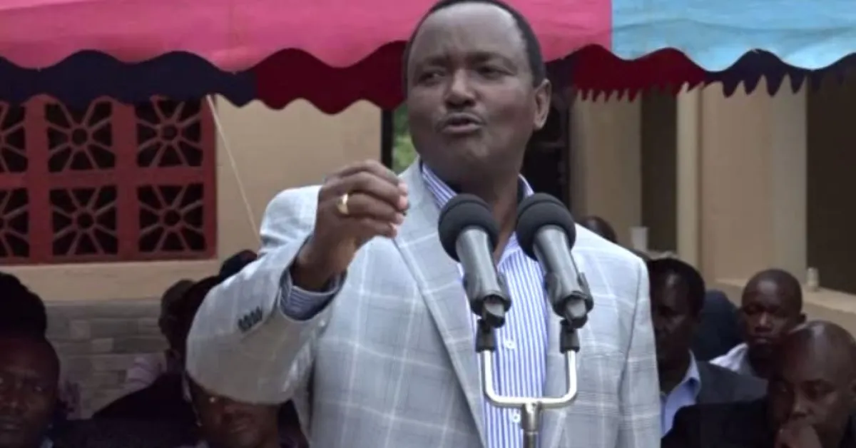 Kalonzo: US Ambassador Robert Godec Didn't Back President Kenyatta