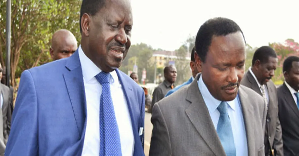 Jubilee MPs Warn Raila, Kalonzo against Planned 'Swearing-in'