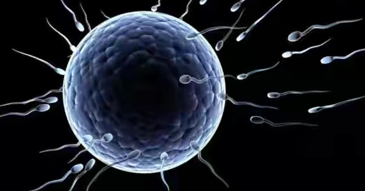 Kenyan Men Selected for Global Trial of a Male Birth Control Gel