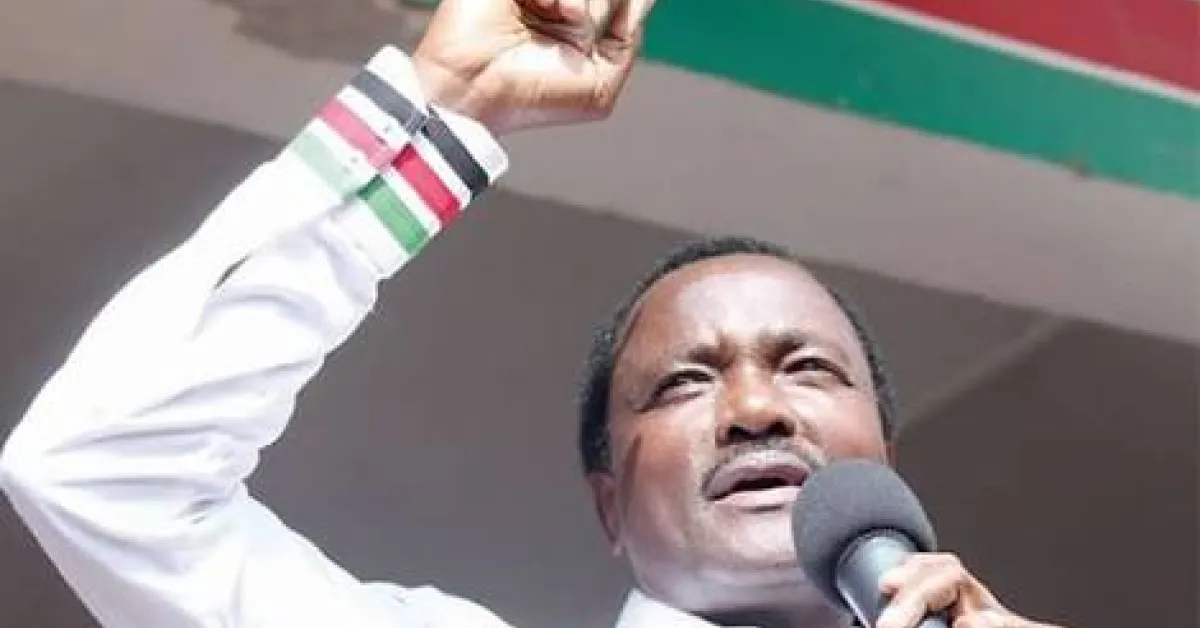 Kenya Will Go South Sudan, Somalia Way after January 30th, Kalonzo Warns President Uhuru