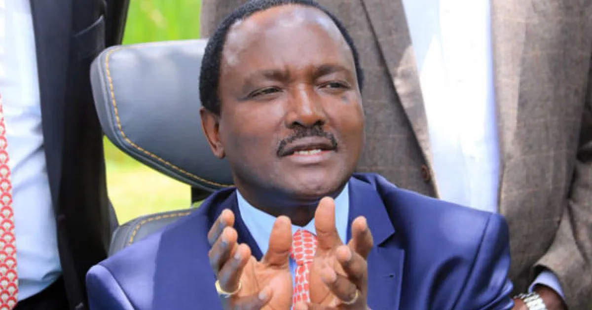 Kalonzo: Why I Skipped the Swearing-in Ceremony