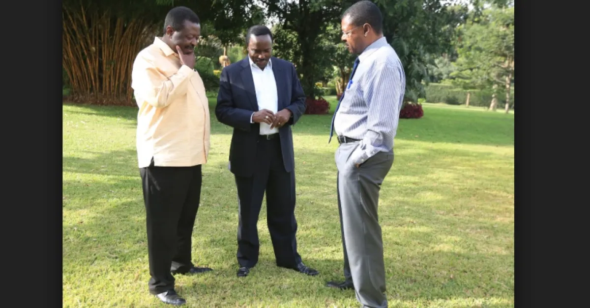 Kalonzo, Wetang'ula, Mudavadi Speak Out after Skipping Raila's Swearing-in