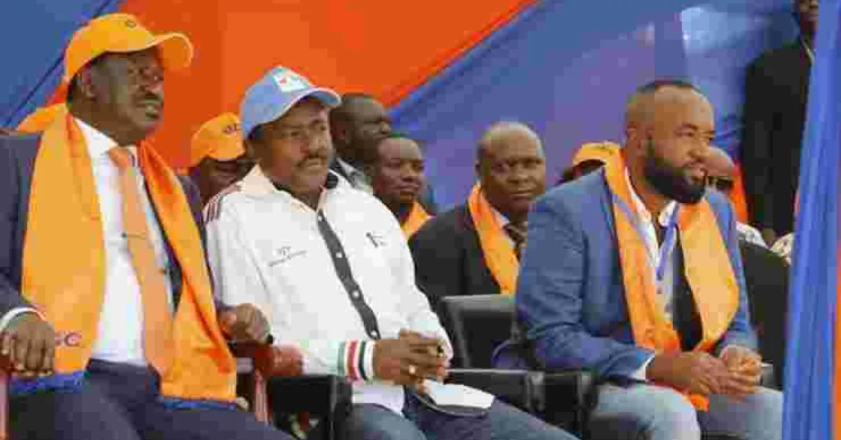 Joho-Kalonzo Friday Bitter Exchange Fuels Fresh Infighting Within NASA