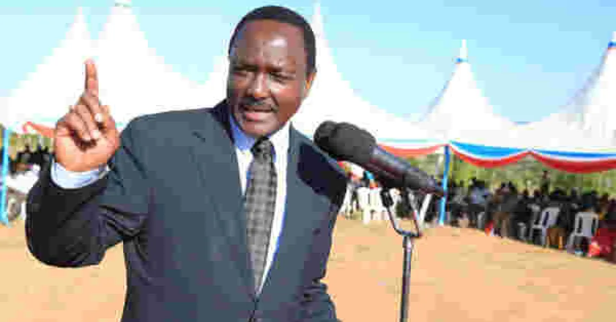 Kalonzo Wants NASA Turned into a Political Party