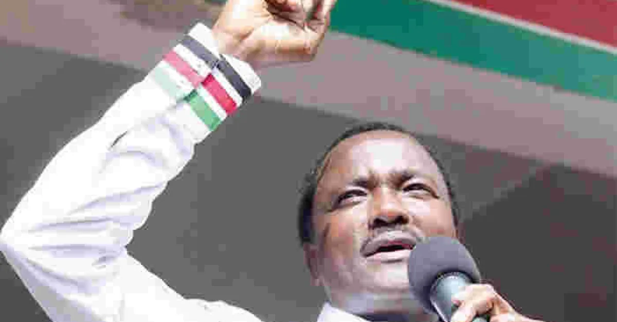 Kamba Leaders Endorse Kalonzo Musyoka's 2022 Presidential Bid
