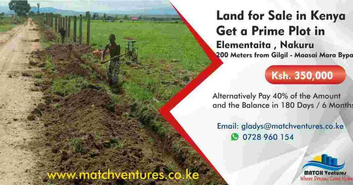Match Ventures: Prime Plots for Sale in Elementaita, Nakuru