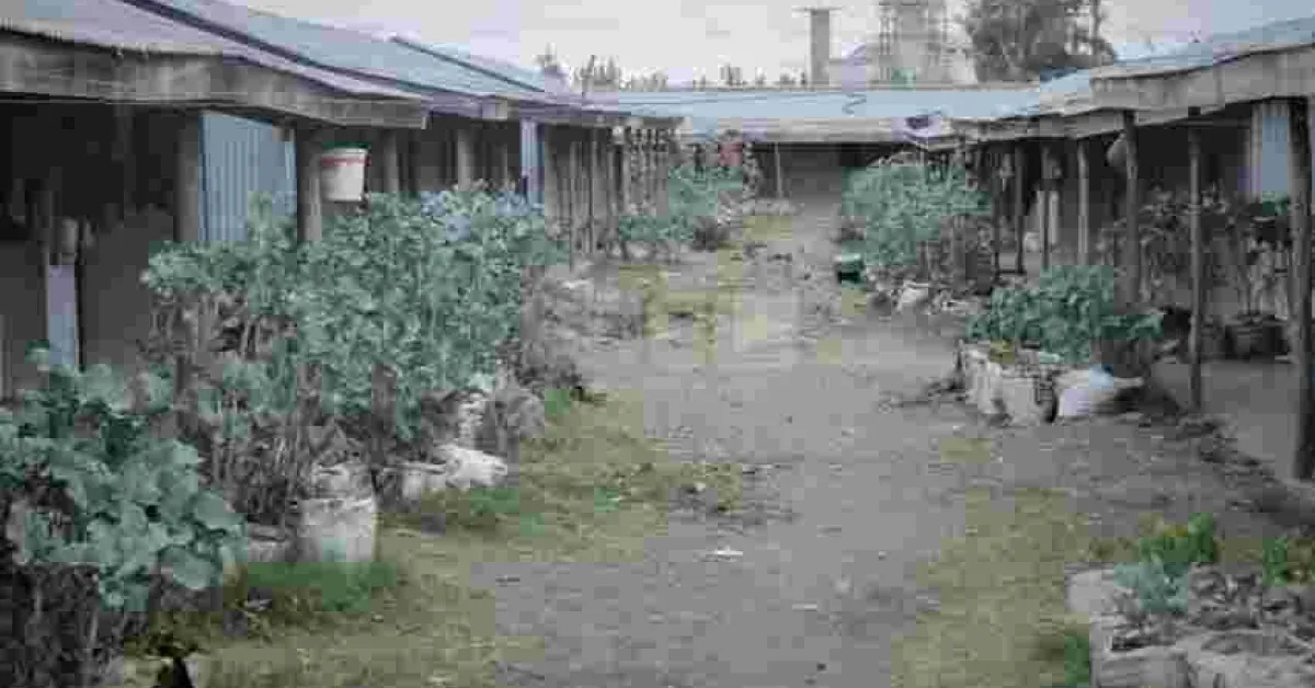 Inside President Uhuru Family's Mabati-Made Estate that Rakes in Millions Per Year