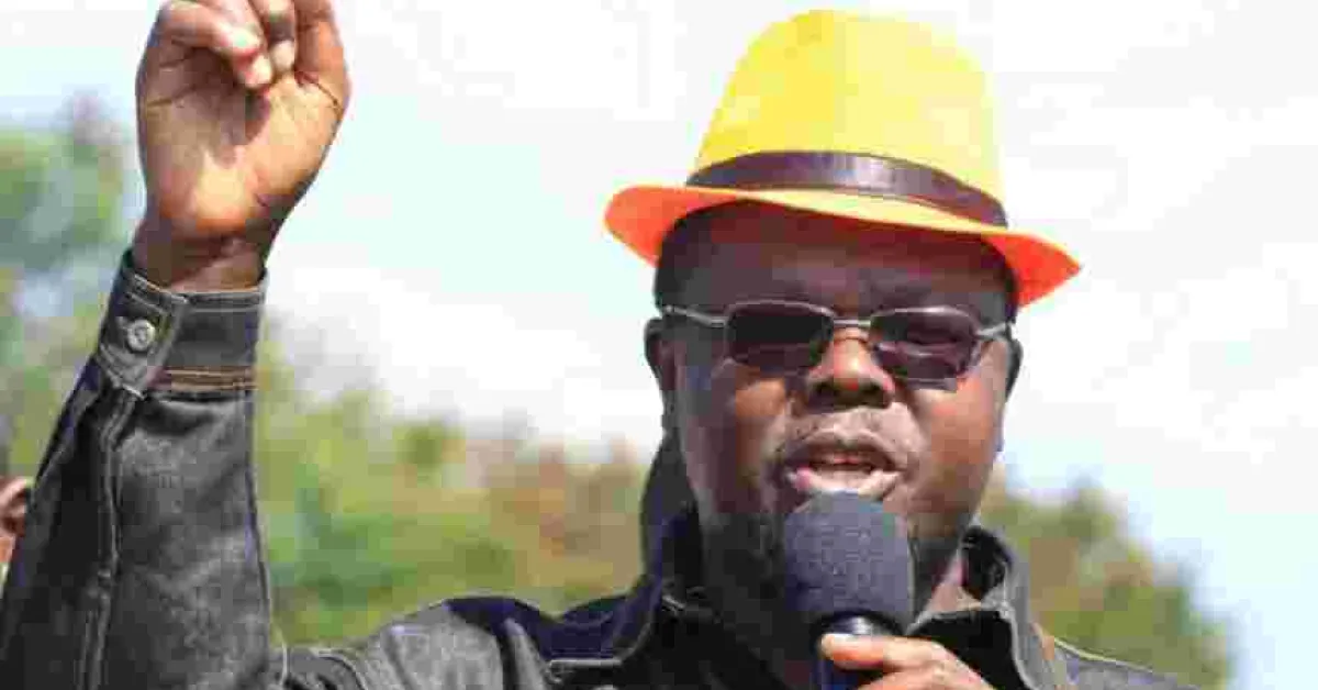 Former Cabinet Minister Ochilo Ayacko Wins Migori Senate By-election