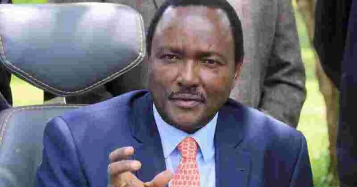 Kalonzo: Why I Forced Myself into the Government