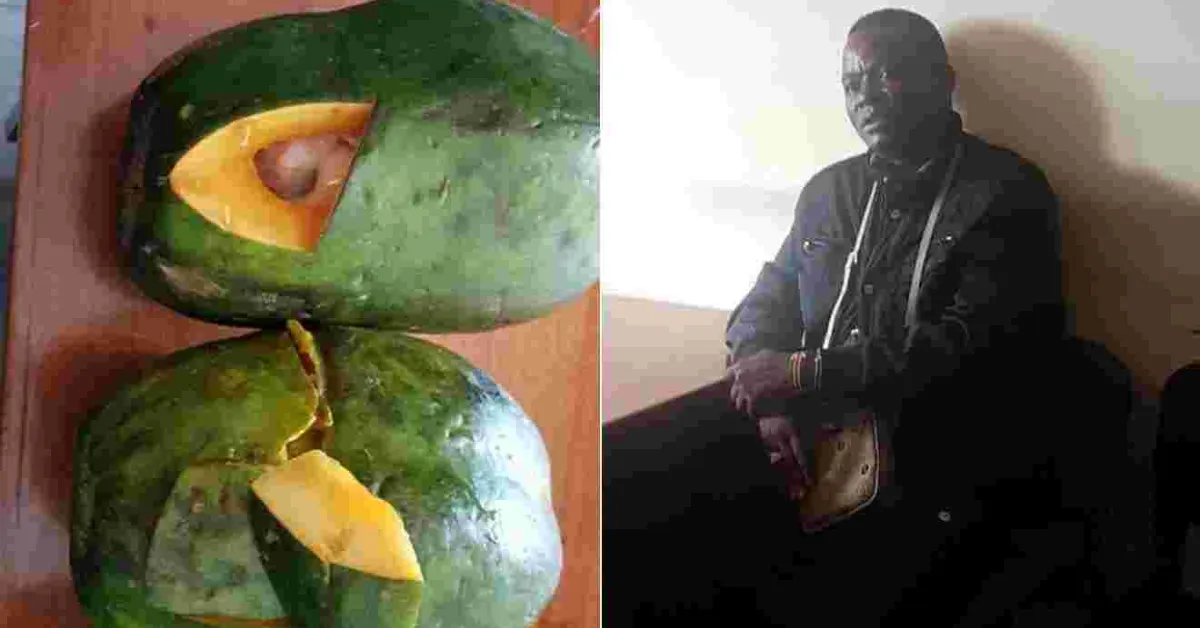 Anti-Drug Abuse Campaigner Arrested in Nairobi with Sh15 Million Heroine Stashed Inside Pawpaws