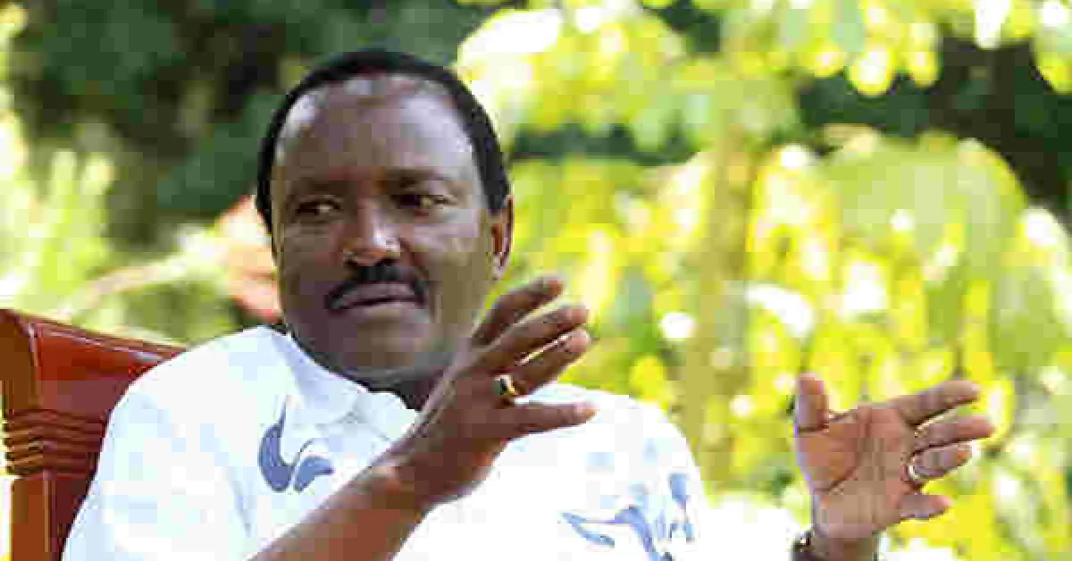 Kalonzo: President Kenyatta May Be Kenya's Prime Minister in 2022