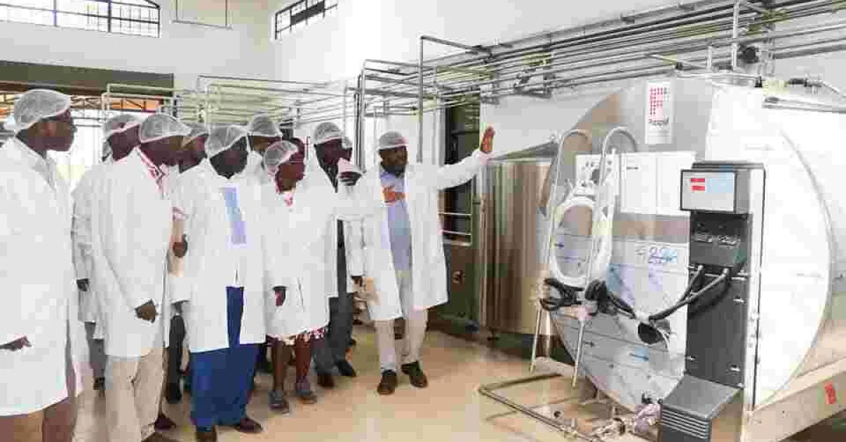 Makueni Governor Kivutha Kibwana Captures Kenyans’ Hearts with another New Project