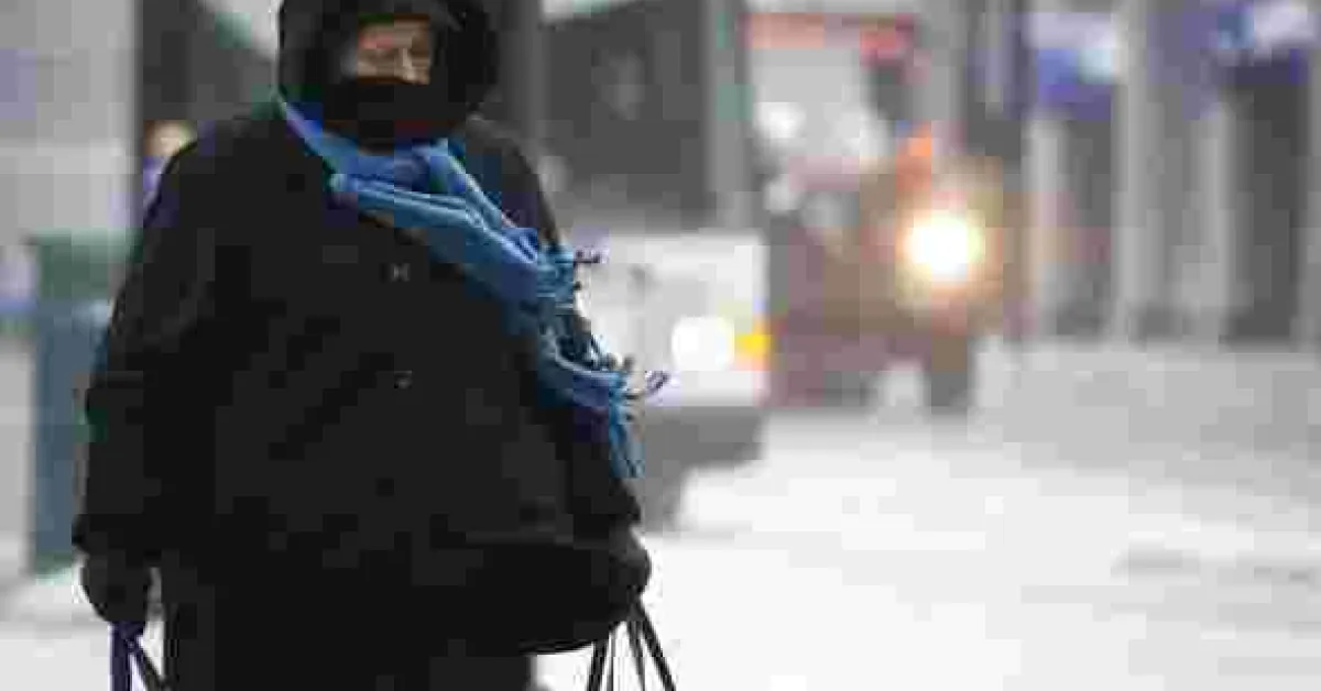 Kenyans in the US Share their Experiences after Polar Vortex