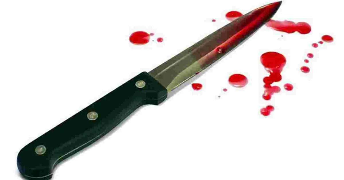 Kenyan Woman, 19, Surrenders Herself to Police After Stabbing Boyfriend to Death