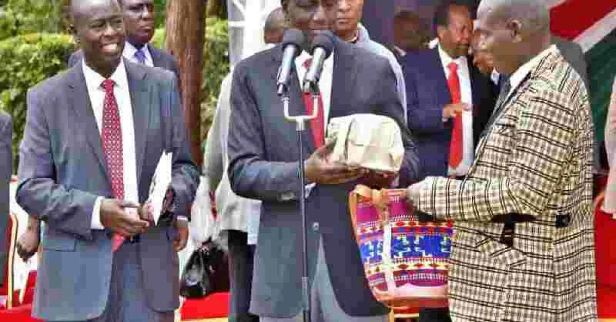 DP William Ruto Has More Money Than God, US-Based Kenyan Scholar Makau Mutua Argues