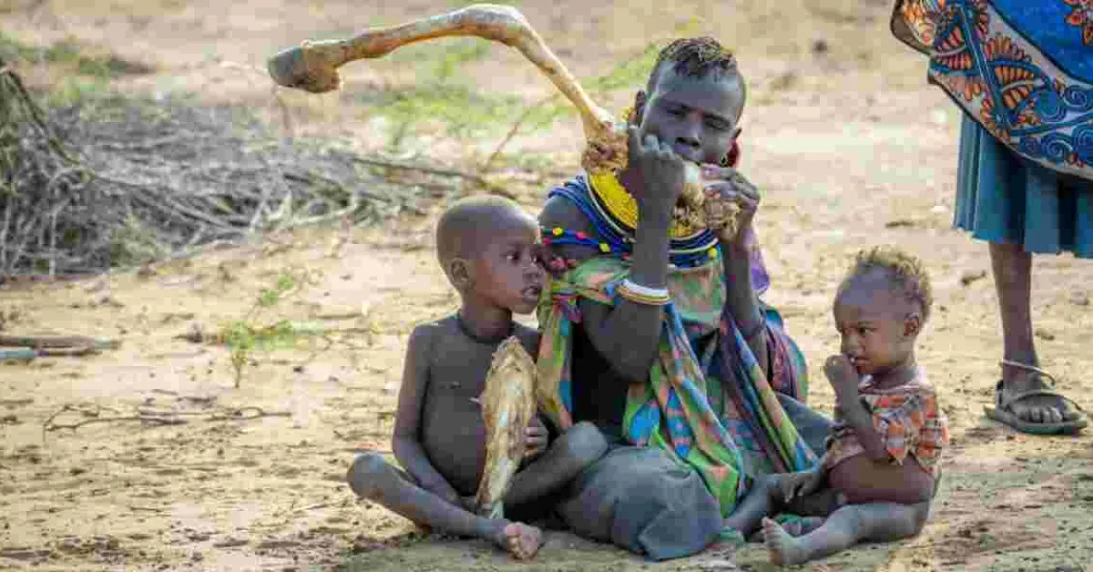 2.6 Million Kenyans in 24 Counties Facing Starvation