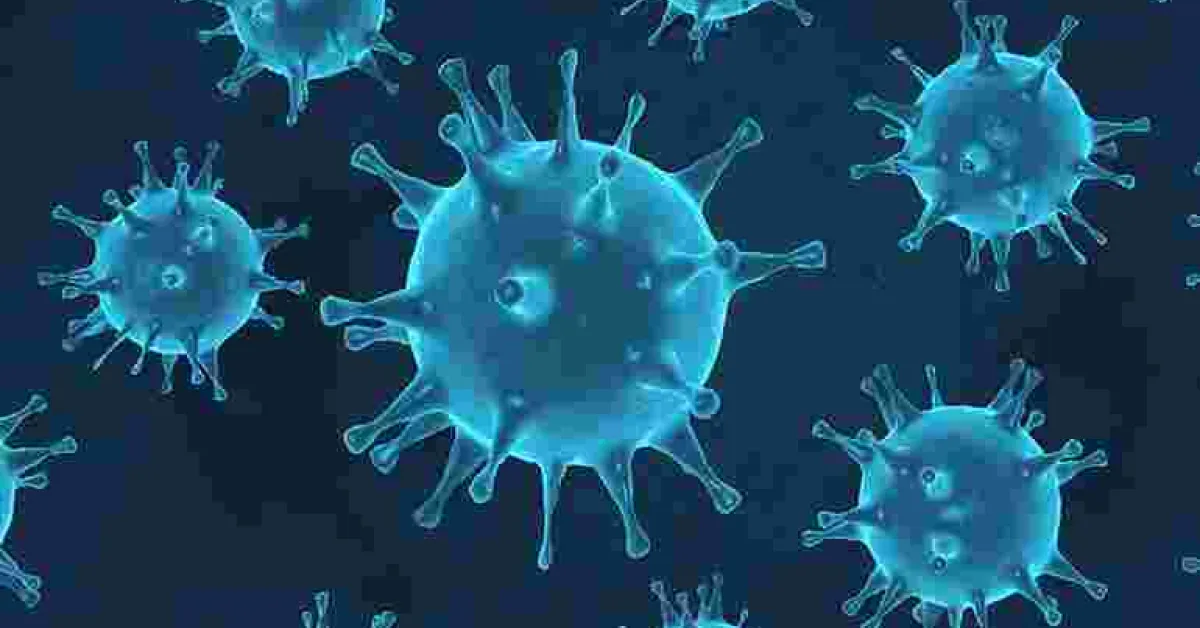 Kenya Confirms 15 More Covid-19 Cases, Tally Hits 296