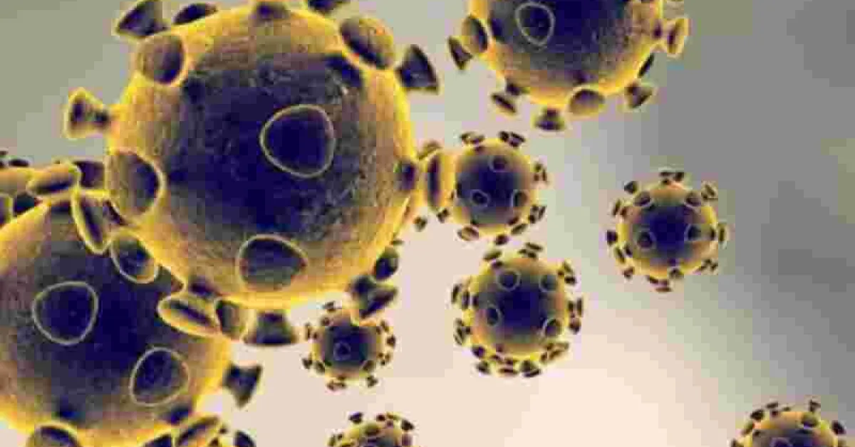 8 Kenyans Test Positive for Covid-19, Tally Rises to 363