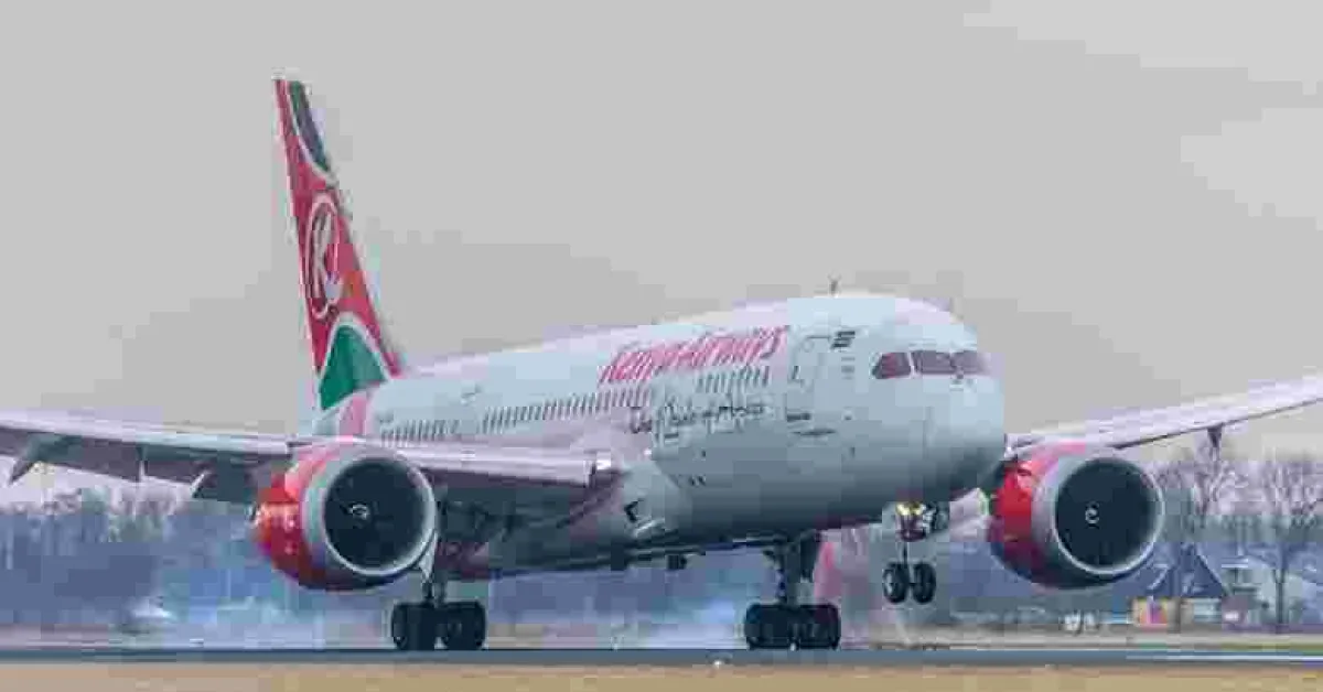 Senate Team Wants Kenyans Stranded Abroad Amid Covid-19 Crisis Evacuated for Free