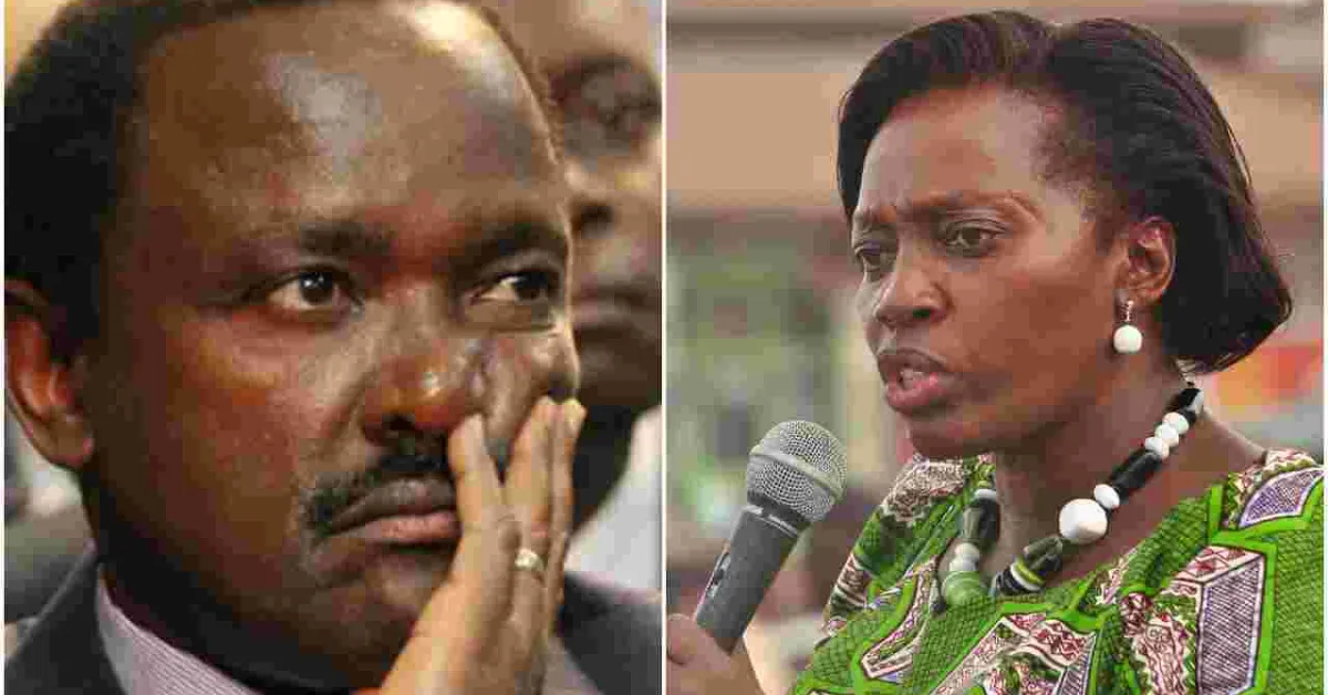 Blow to Kalonzo, Karua After Their Nomination to Senior Counsel Club is Revoked