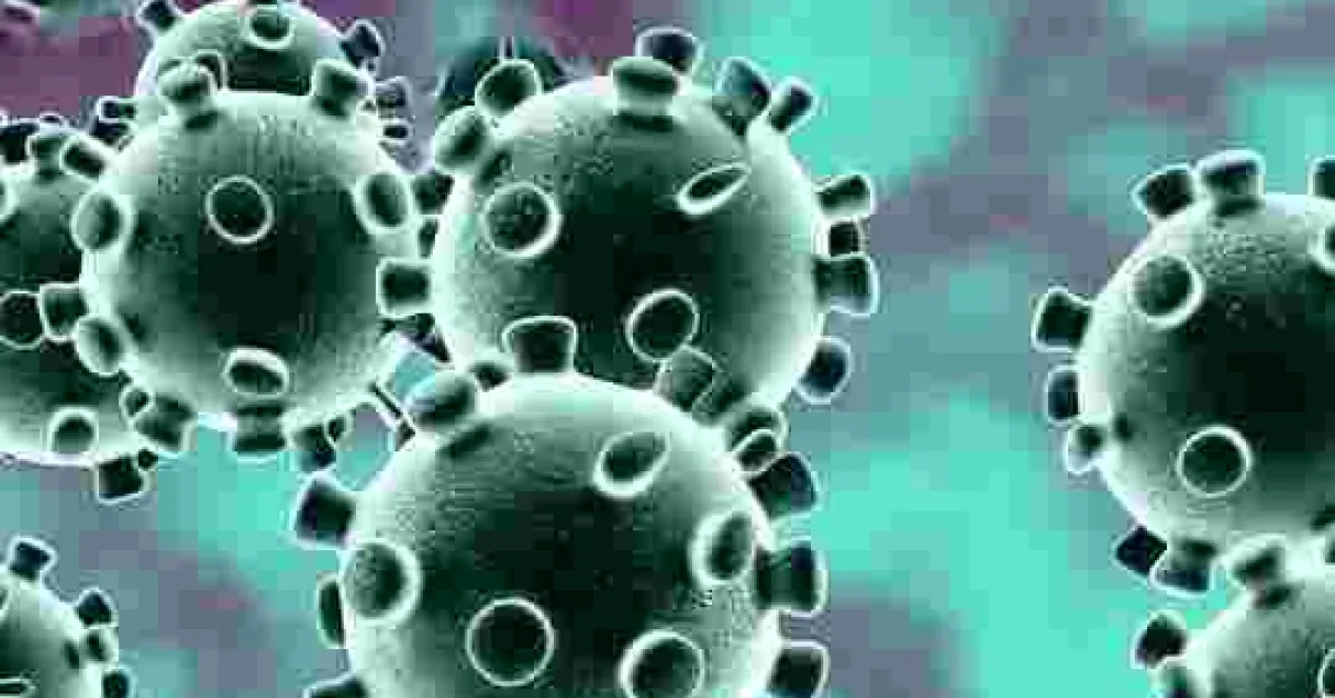 Kenya Records Highest Single-Day Covid-19 Deaths and Infections